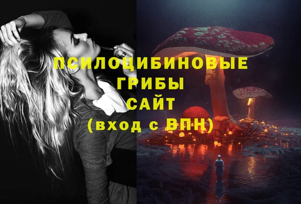 МДПВ Абдулино