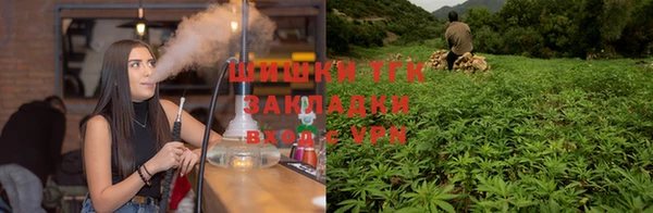трава Абинск