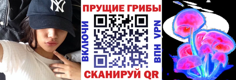 гидра   цены   Балахна  Псилоцибиновые грибы MAGIC MUSHROOMS 