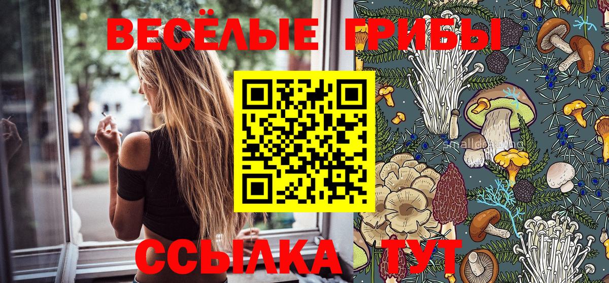 Галлюциногенные грибы ЛСД  Вход с VPN  Балахна 