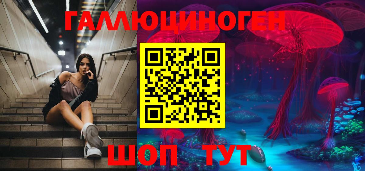 Псилоцибиновые грибы мицелий Балахна